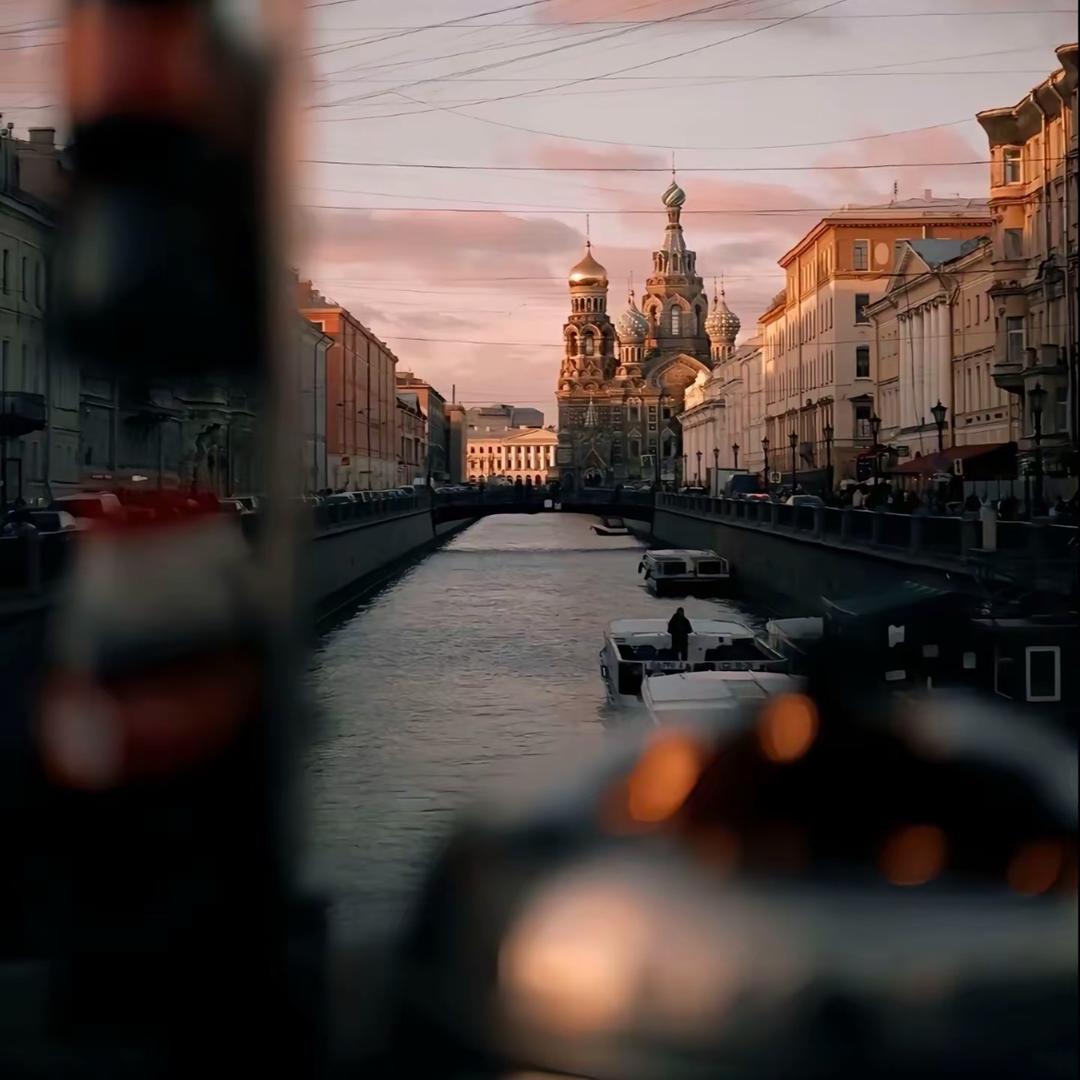 🌈丁丁卖猫粮狗粮猫砂