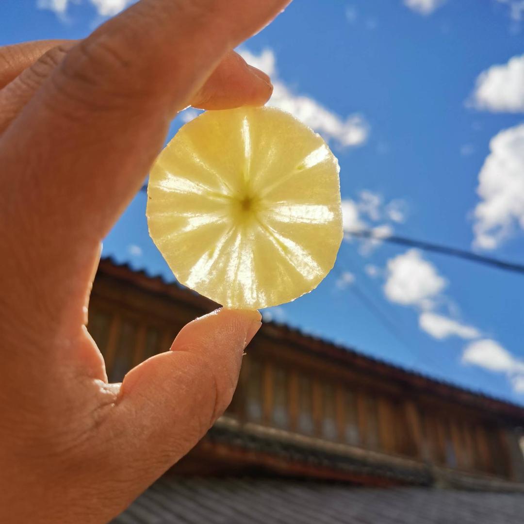 云南土特产山货~