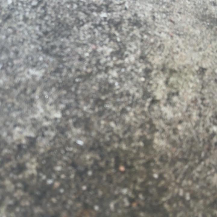小新…