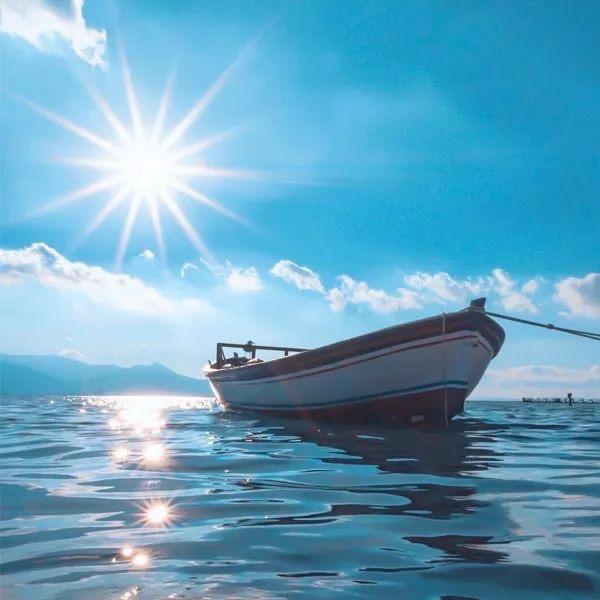 🌟心之所向🌻