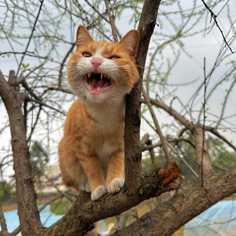 小新..