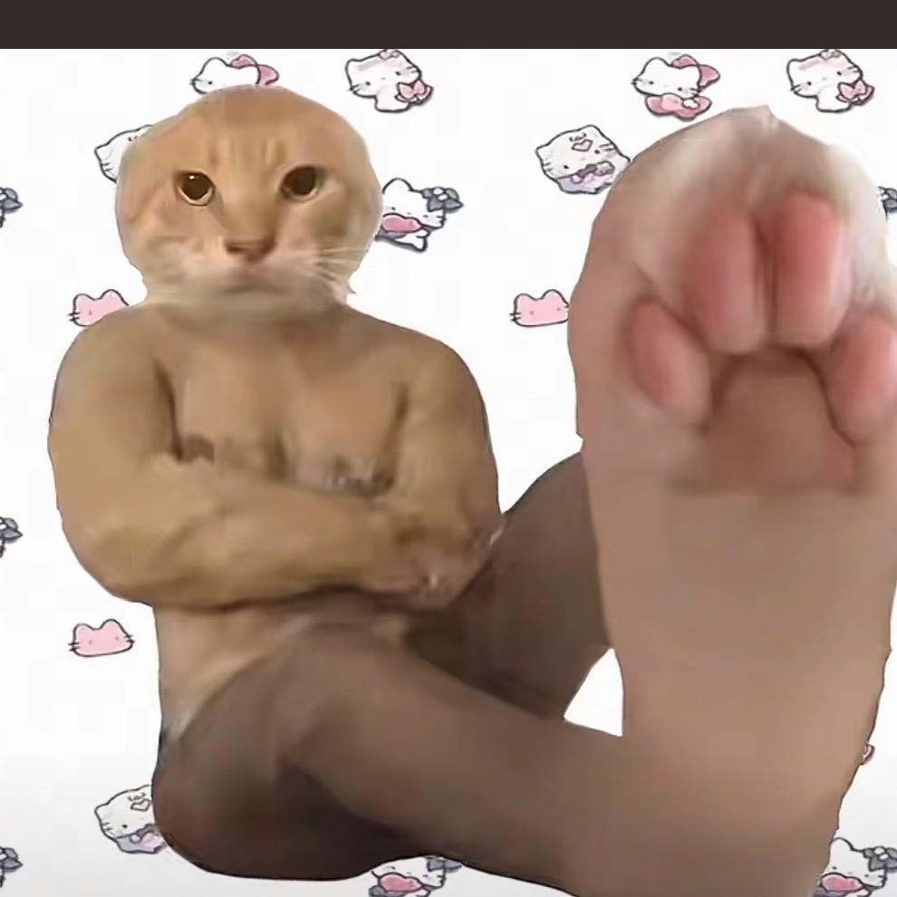 用户17668426984686