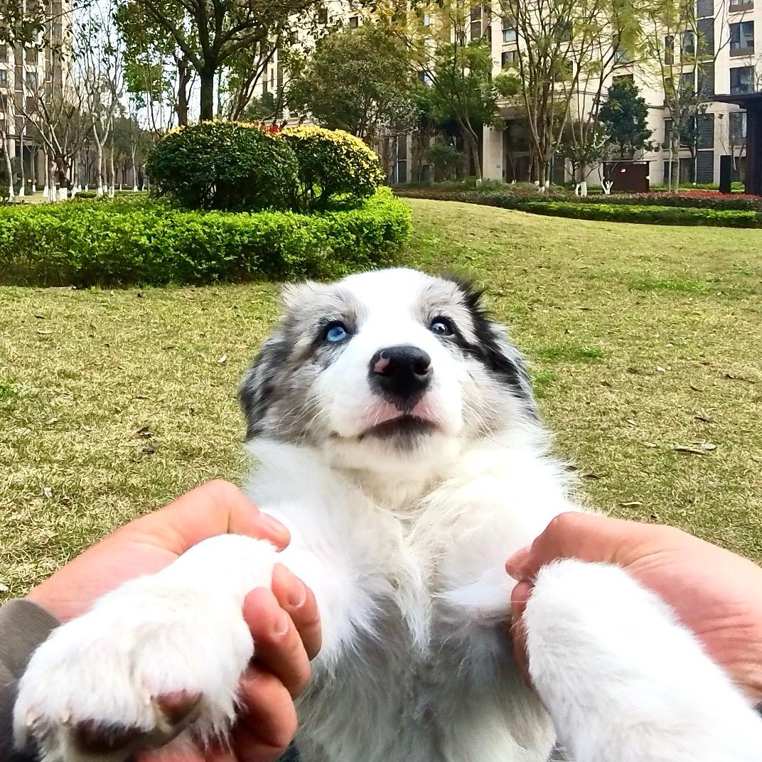 靓仔and黑妹