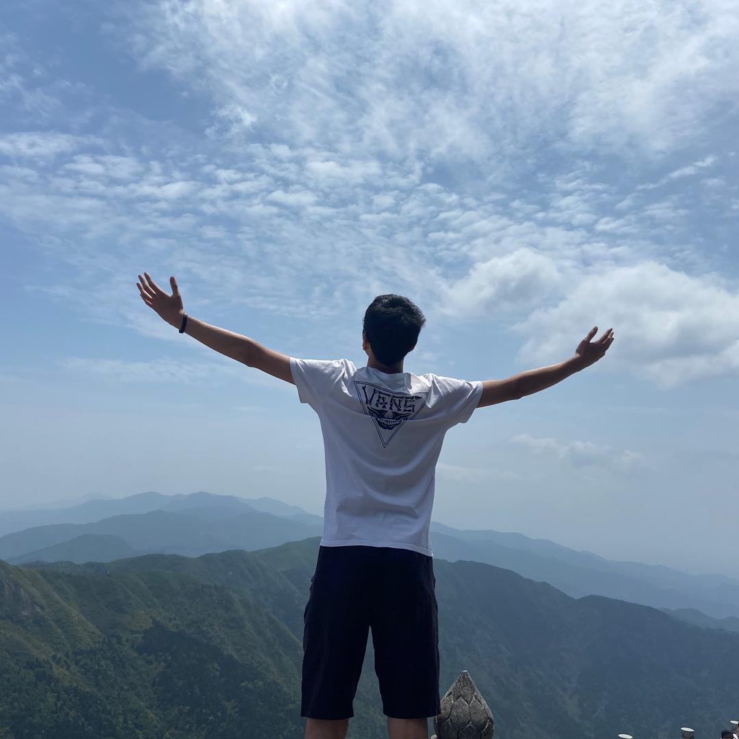 大树。