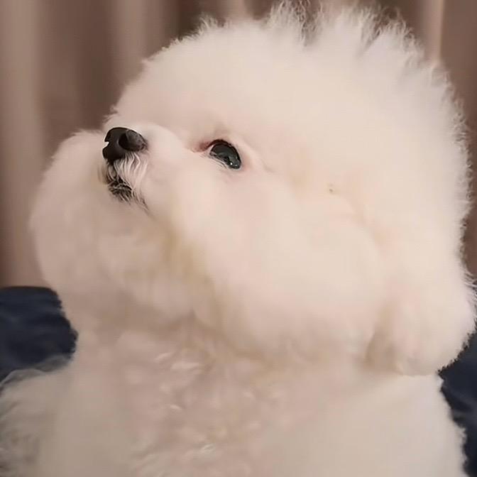花儿🌺