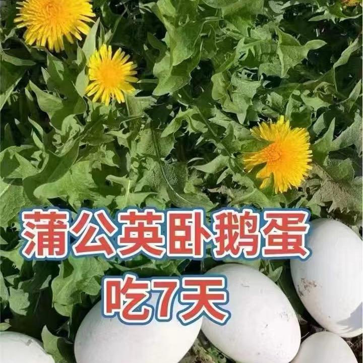芹姐健康饮食