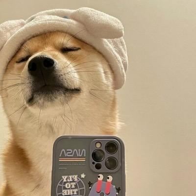 小叶要躺平