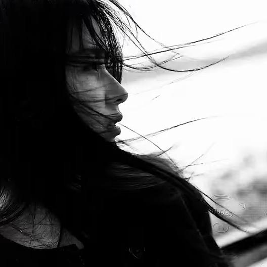 赐我一把斩情刀.