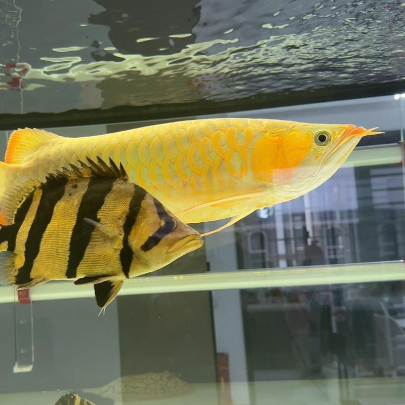 平安喜乐🇨🇳