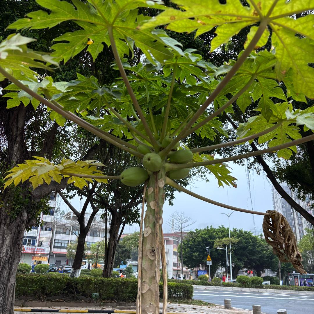 瞎子看海(•‿•)很蓝