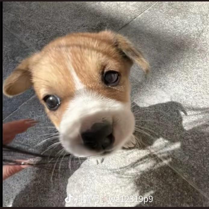 超级无敌炸爽小涵