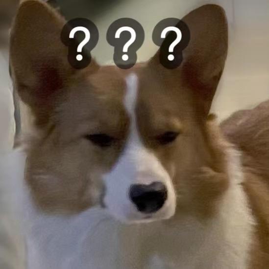 周六六