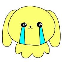 金枪鱼期待到印度洋放大招