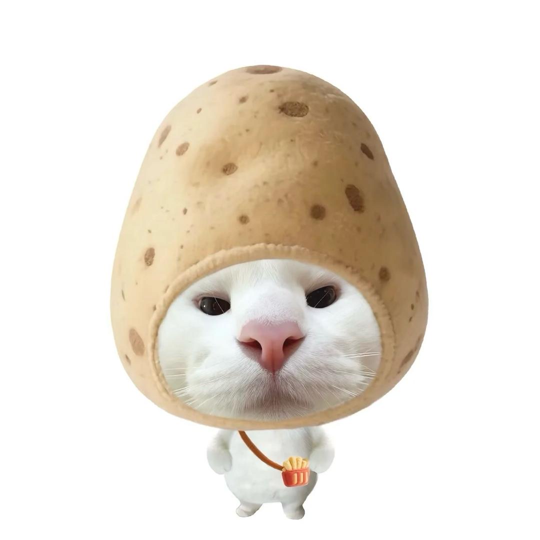 土豆统治全世界