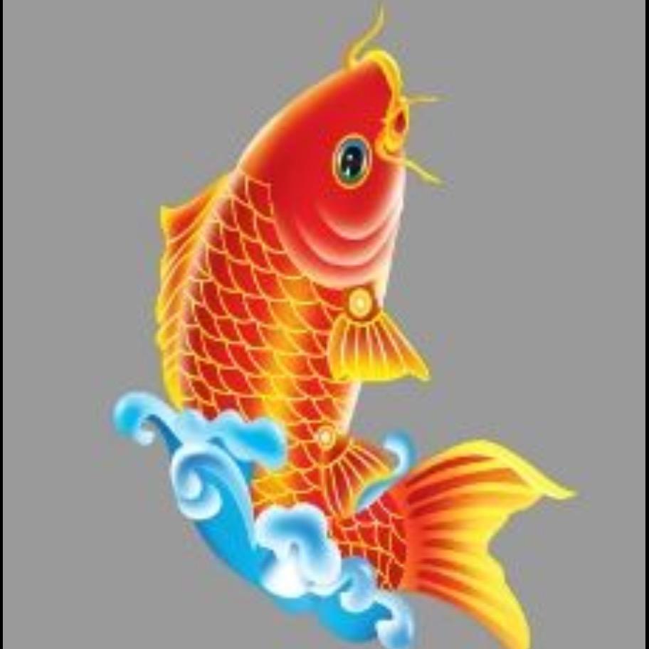 🐠步留渔地🐠