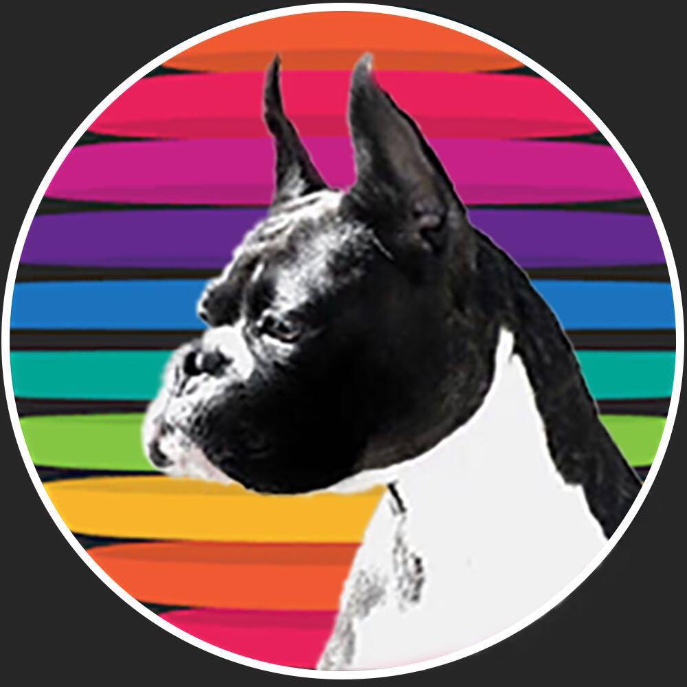 憋屈的梵高@抖音