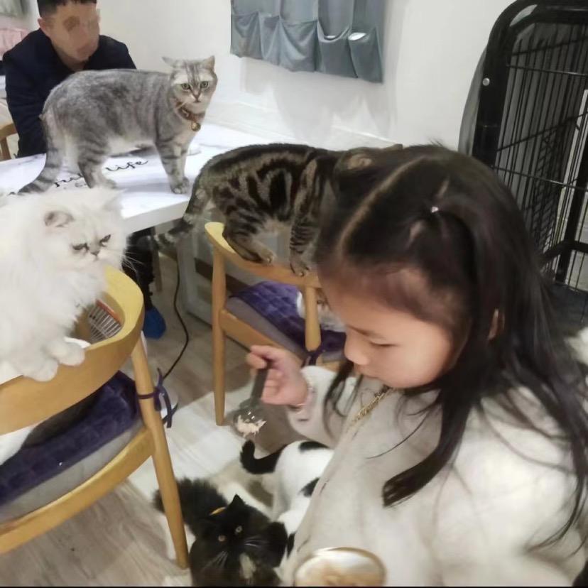 王三妺