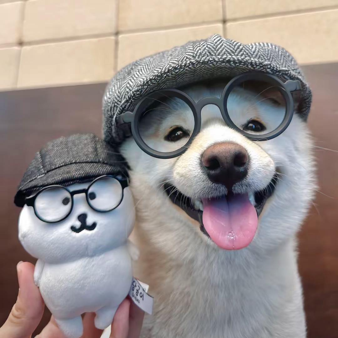 深情公蟑螂