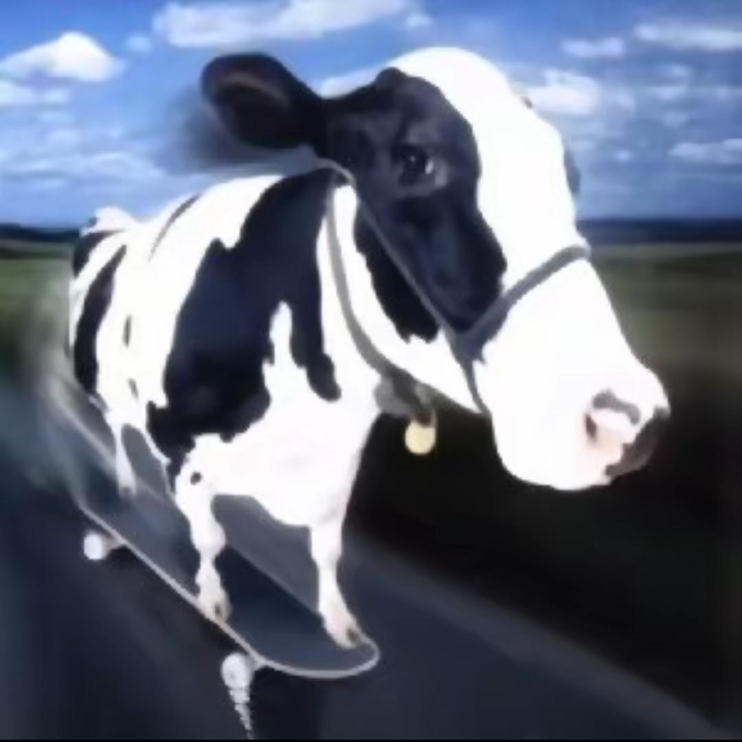 我睡觉的时候不困