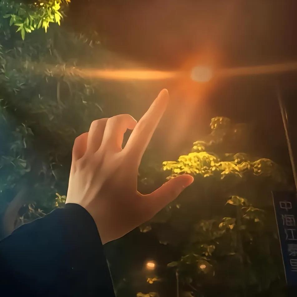 西红柿加韭菜
