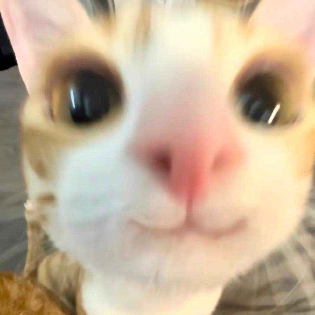 乌乎啦乎吧啦娜呼