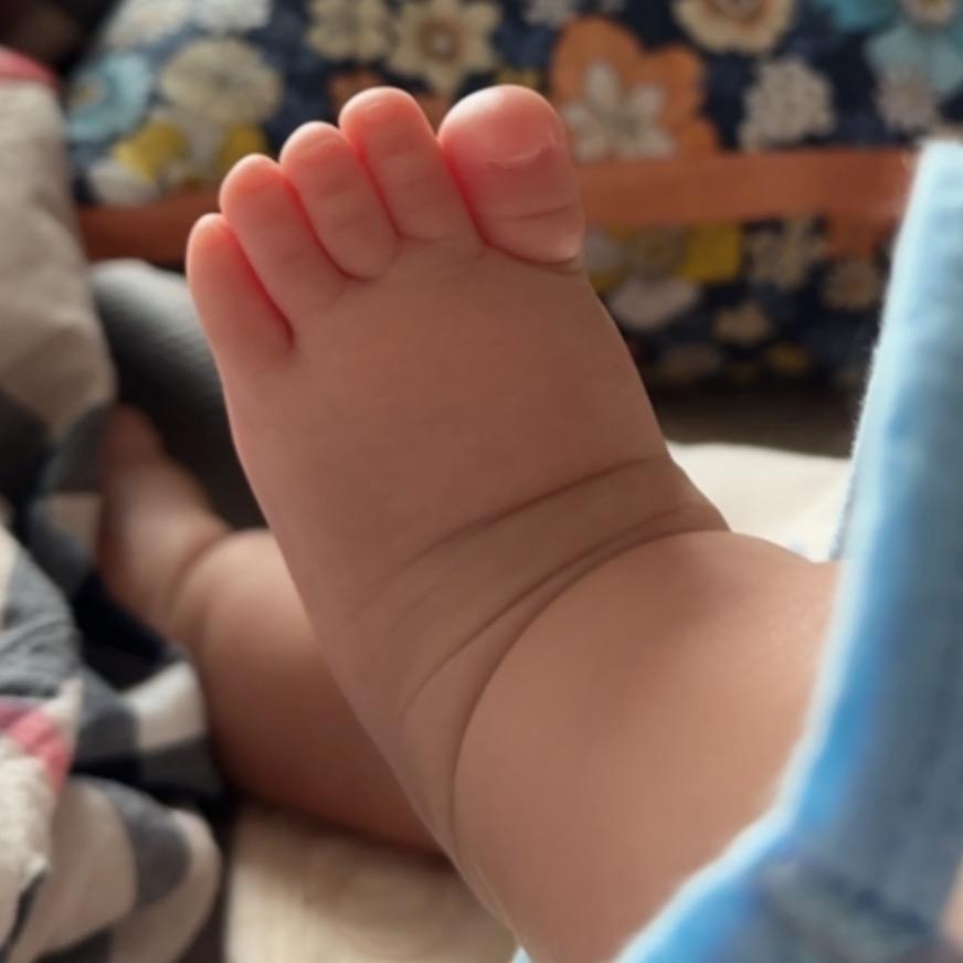 橙子的米其林🥰