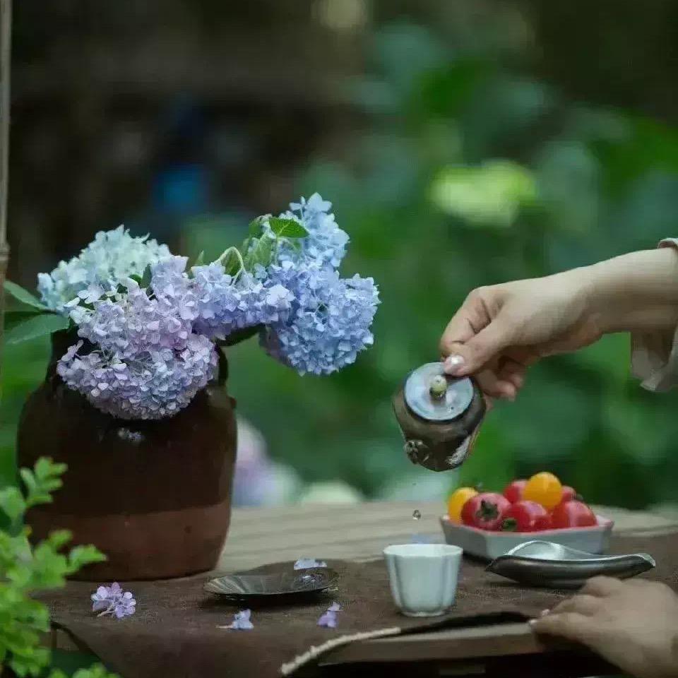 勿忘我