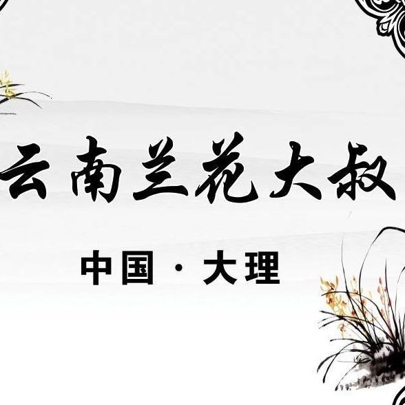 云南兰花大叔1号