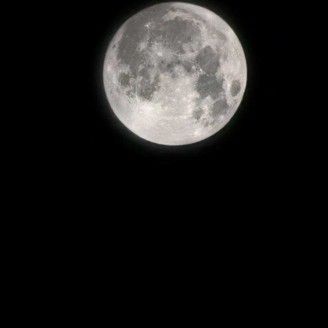 誉博三元催化贵金属回收