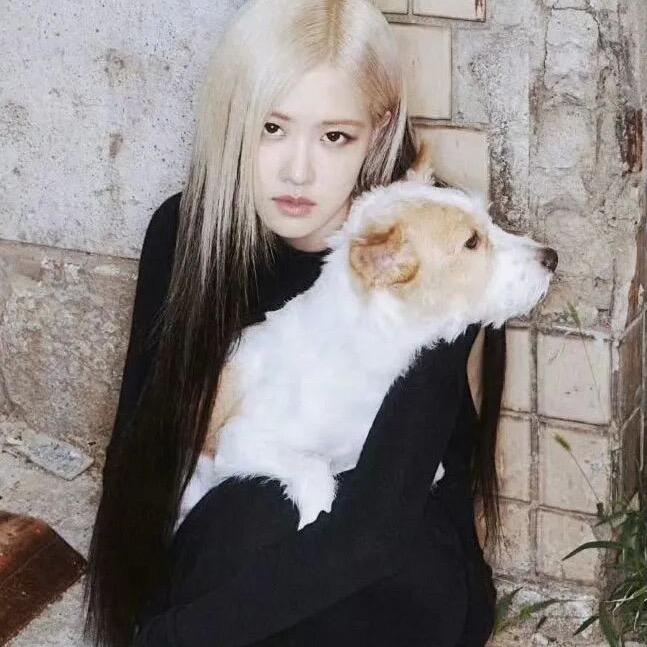 Rosé