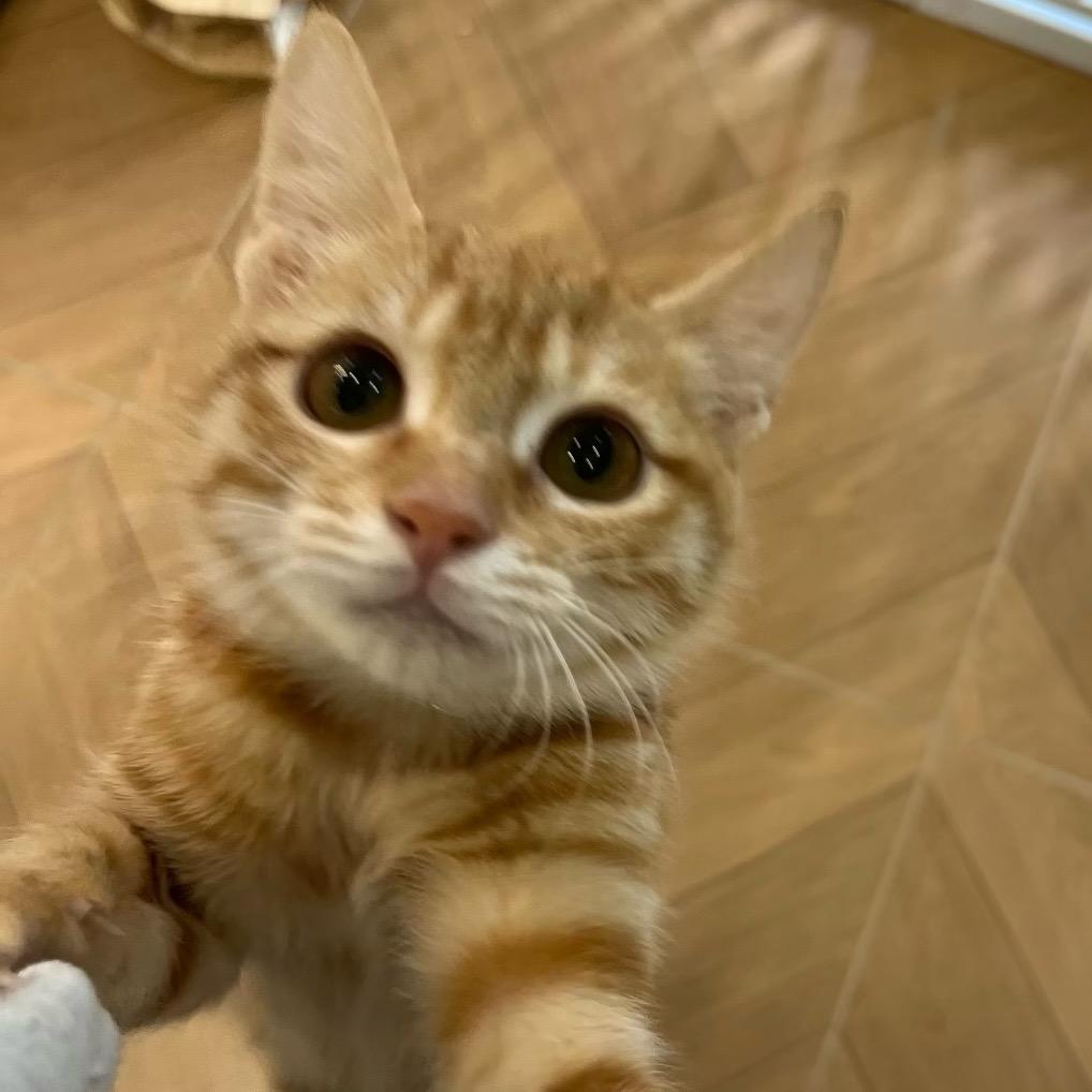 二十对我来说就是小钱