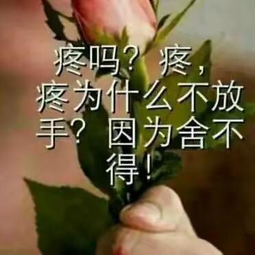 情淡如水🌸