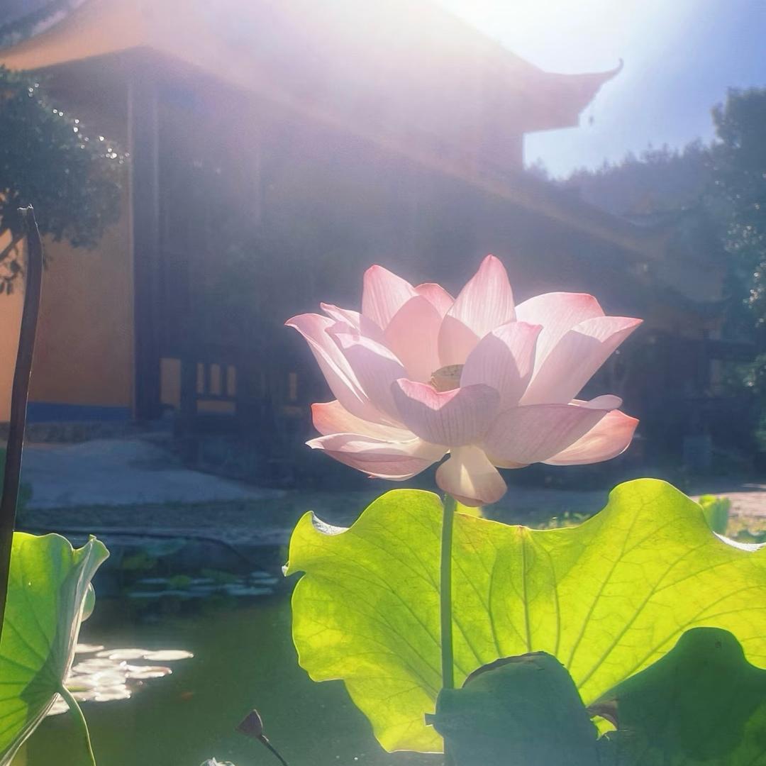 一 一