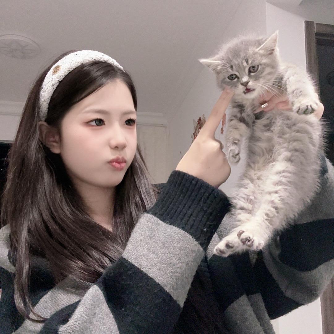 胡萝卜🥕