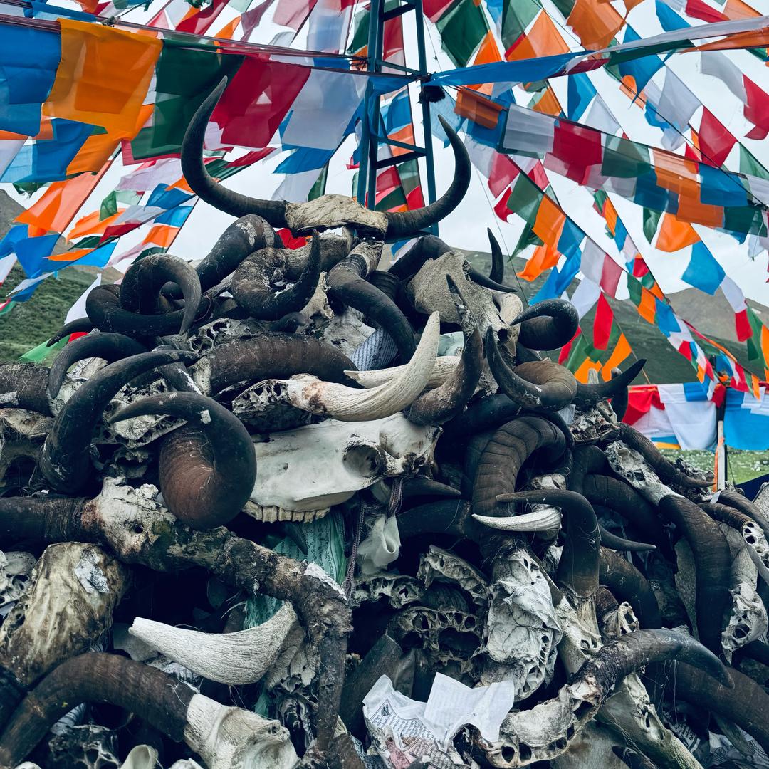 阿比拉优·胖墩