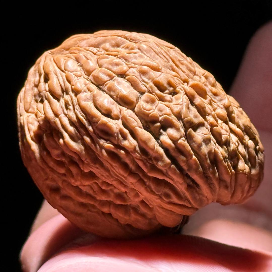 知否『苹果.南将.磨盘』