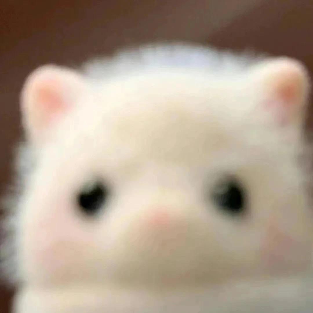 KevIn