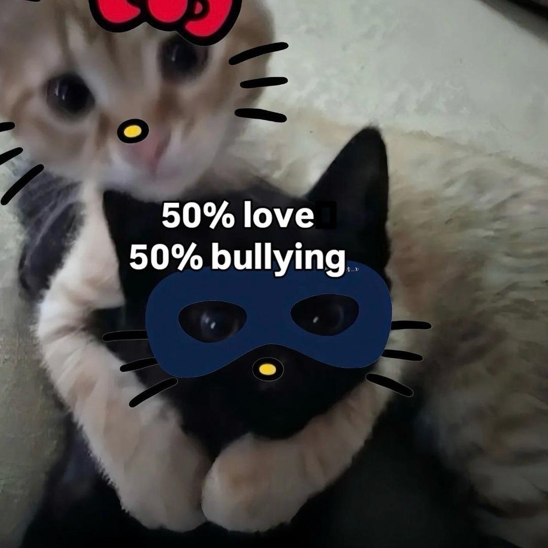 JJX！