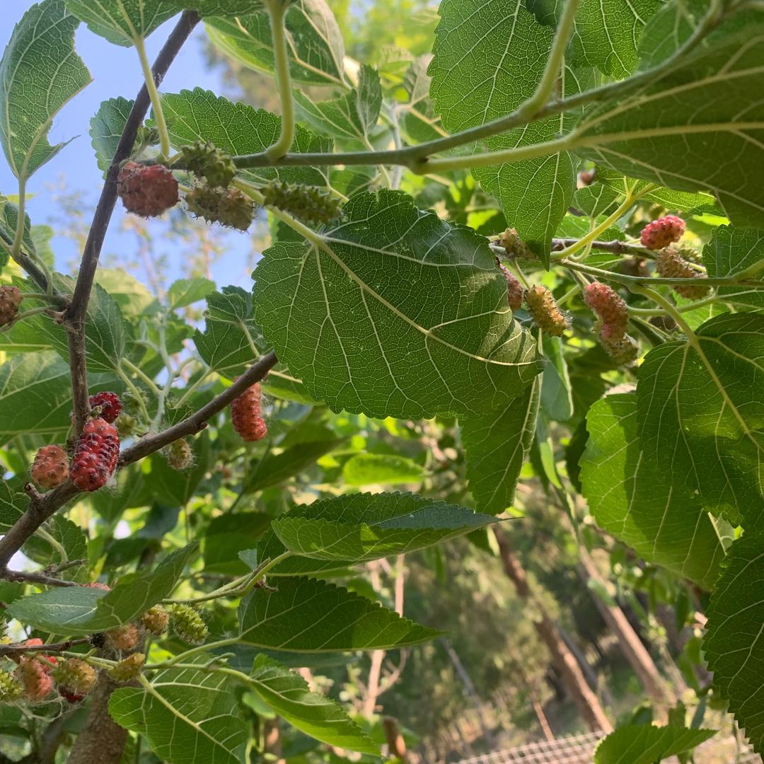 🌈🌈顺其自然