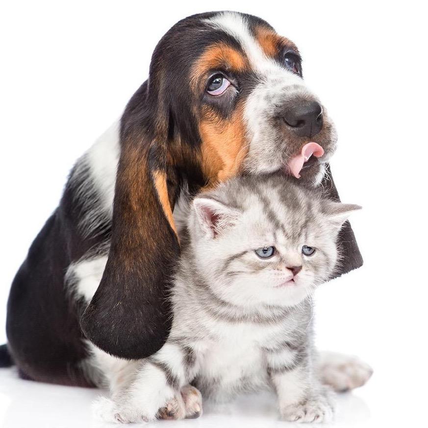 32520693857的头像