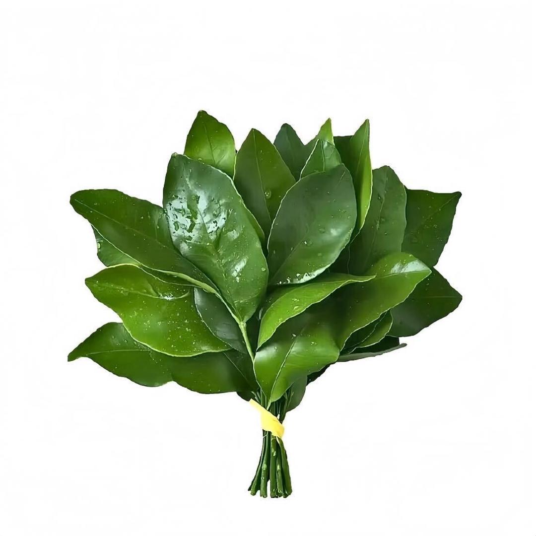XDiH—