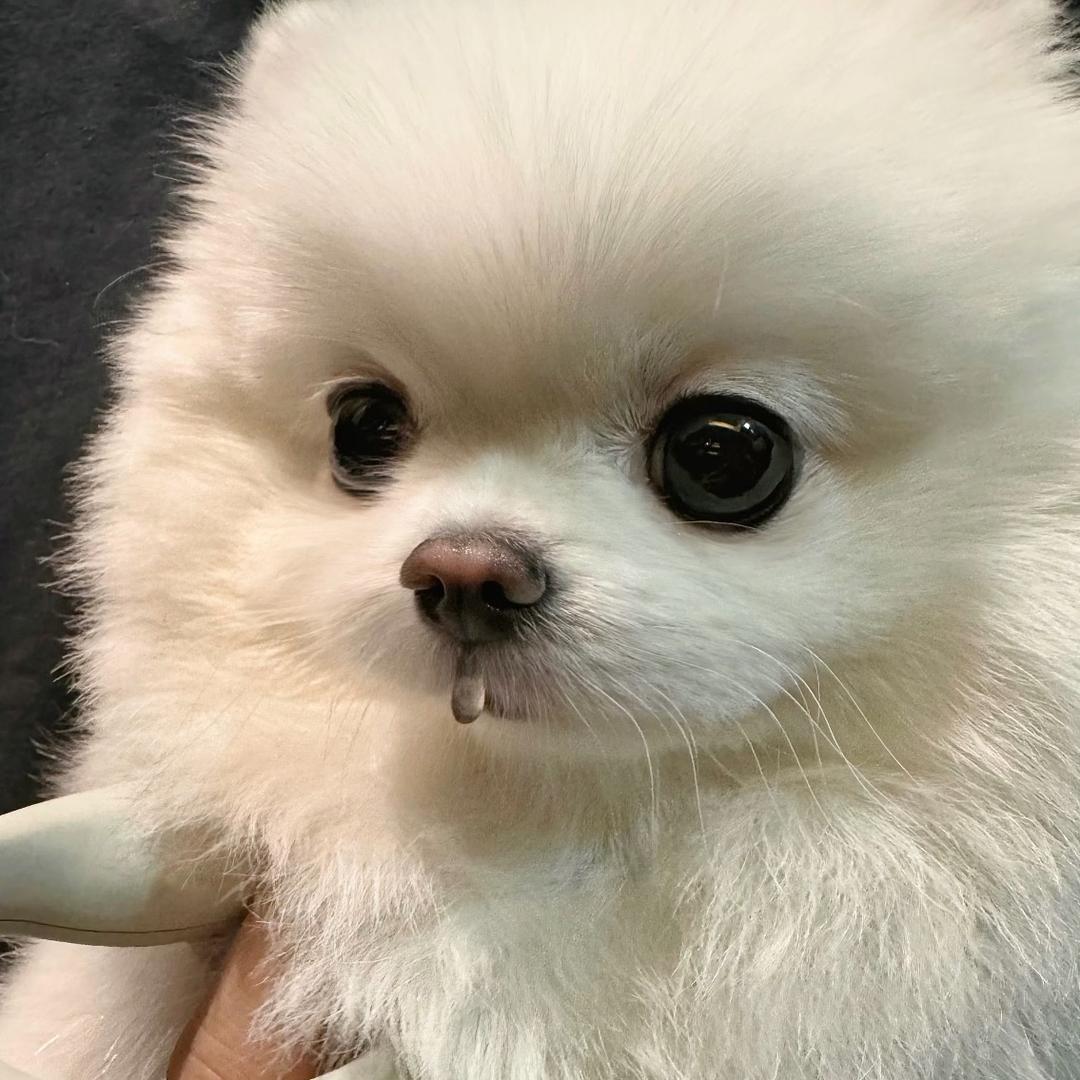 👩🏻‍⚕️💉📖/ intp