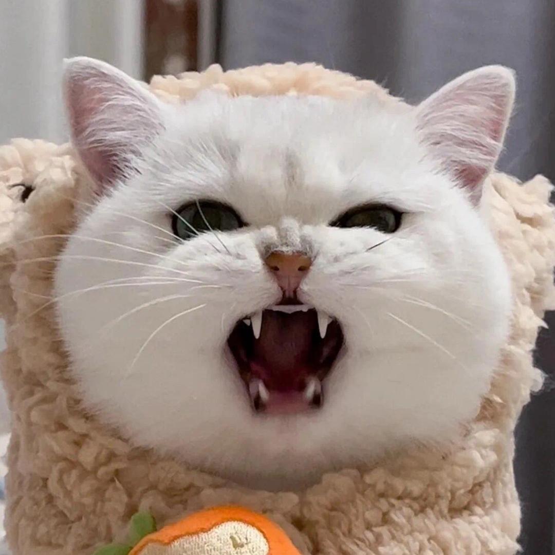 虽然很懒但还是想努力