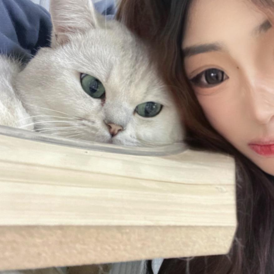 绝情啤酒鸭