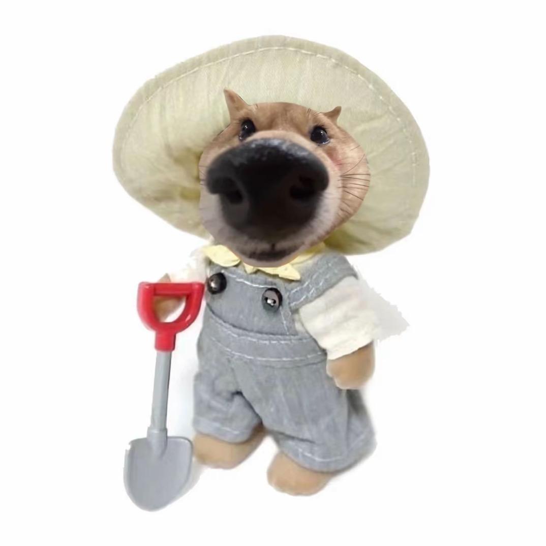 小朵逾