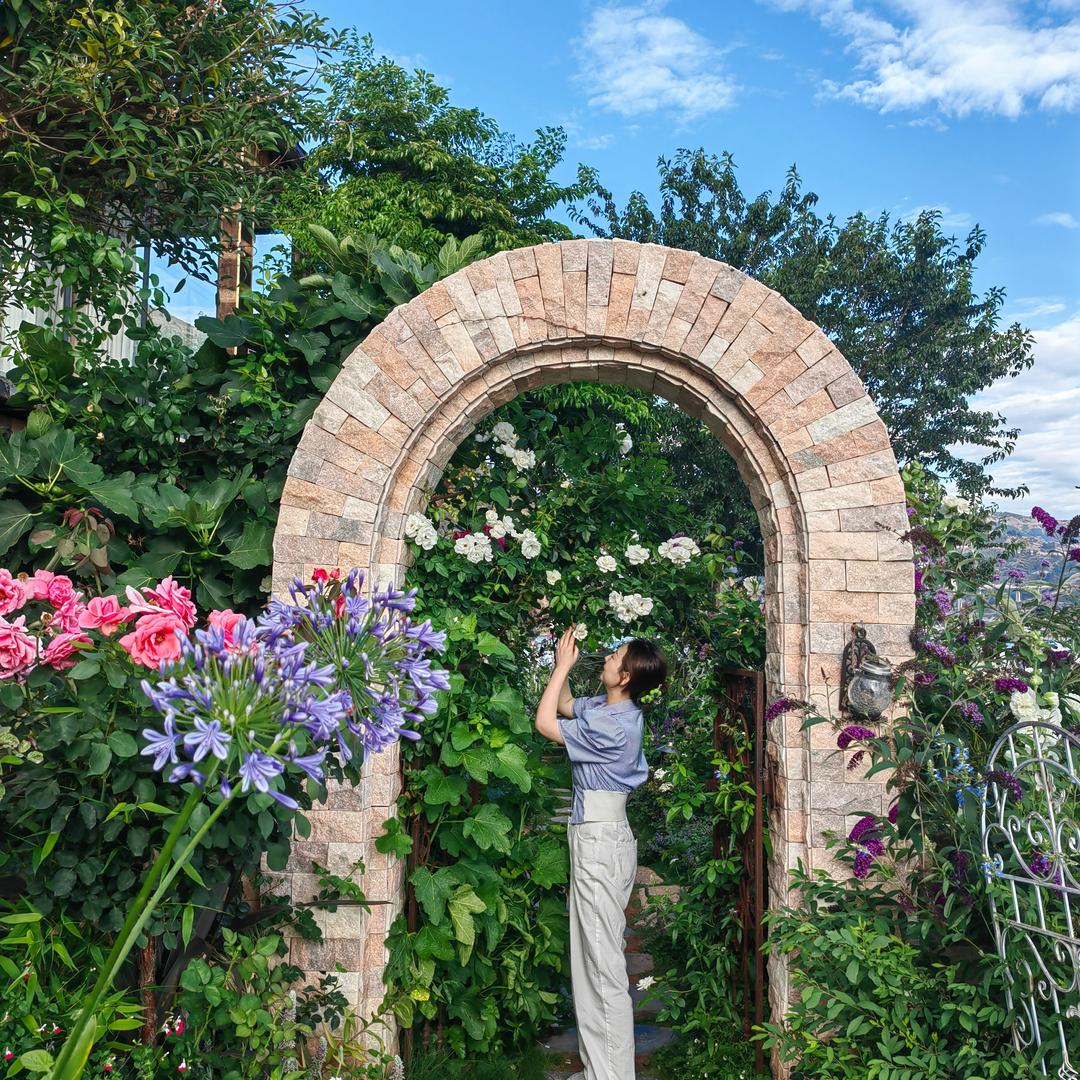 ✨Meigi的小世界🌏