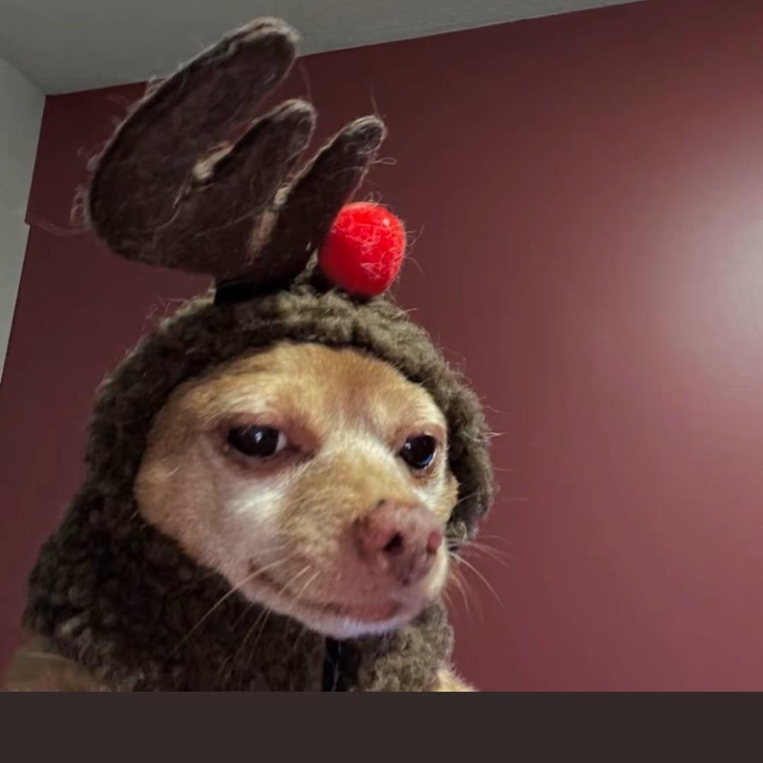 按时喝水（见过时团版）