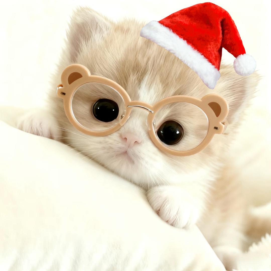 ˚₊‧アカネチル˚₊‧