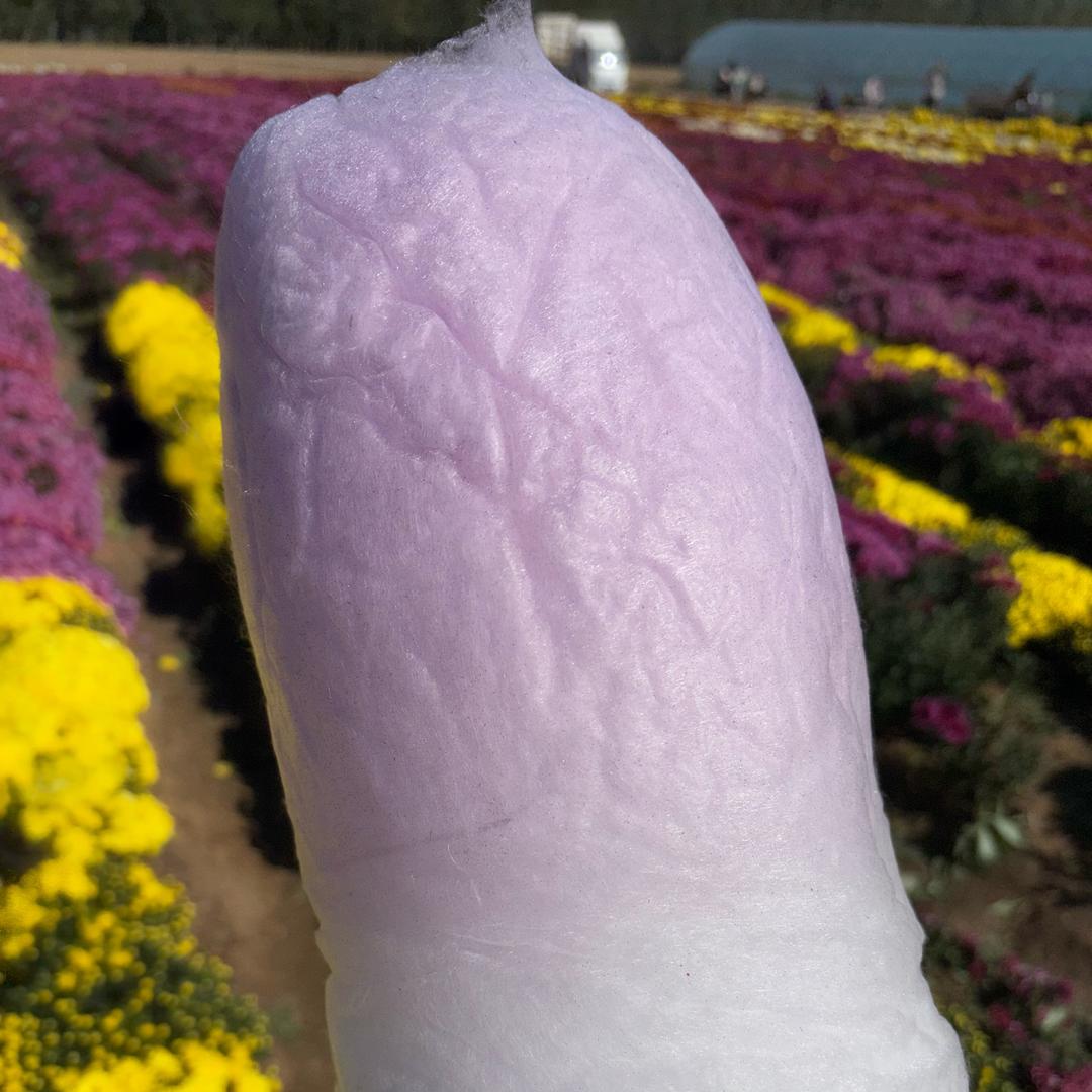 修米🍚