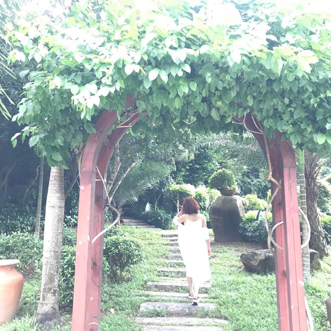 杨柳岸